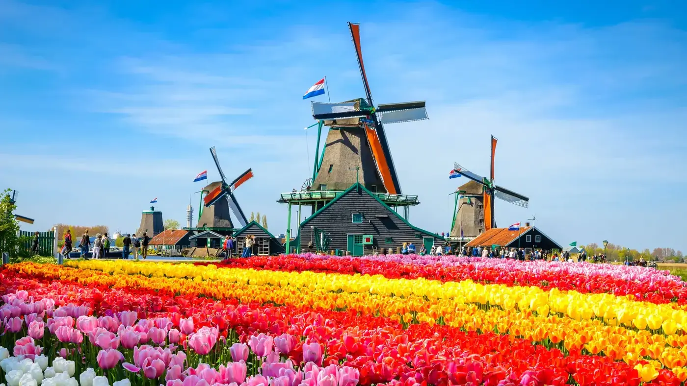 Amsterdam – fergehavn og reisemålsguide