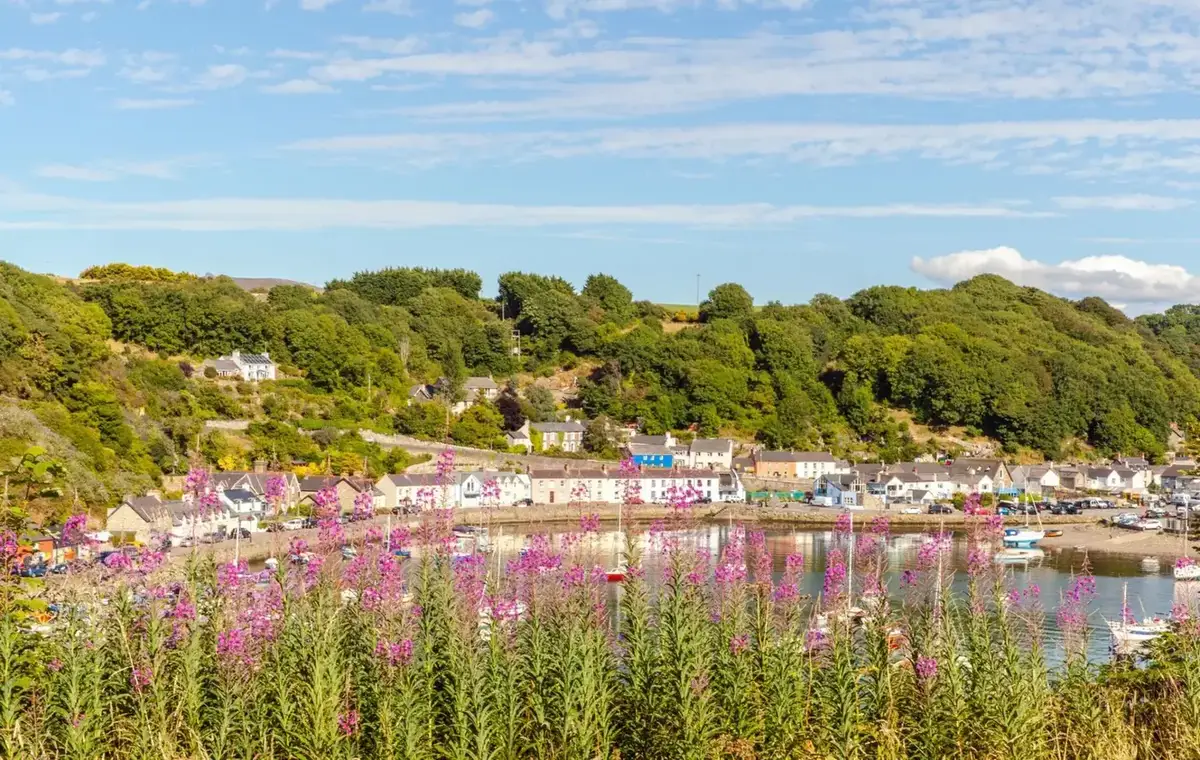 Fishguard – fergereisemål