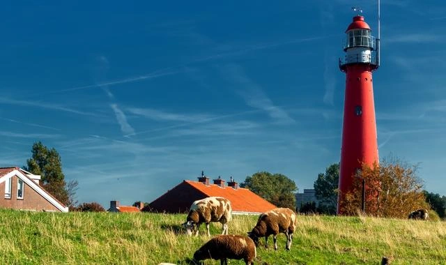 Hoek van Holland – fergehavn og reisemålsguide