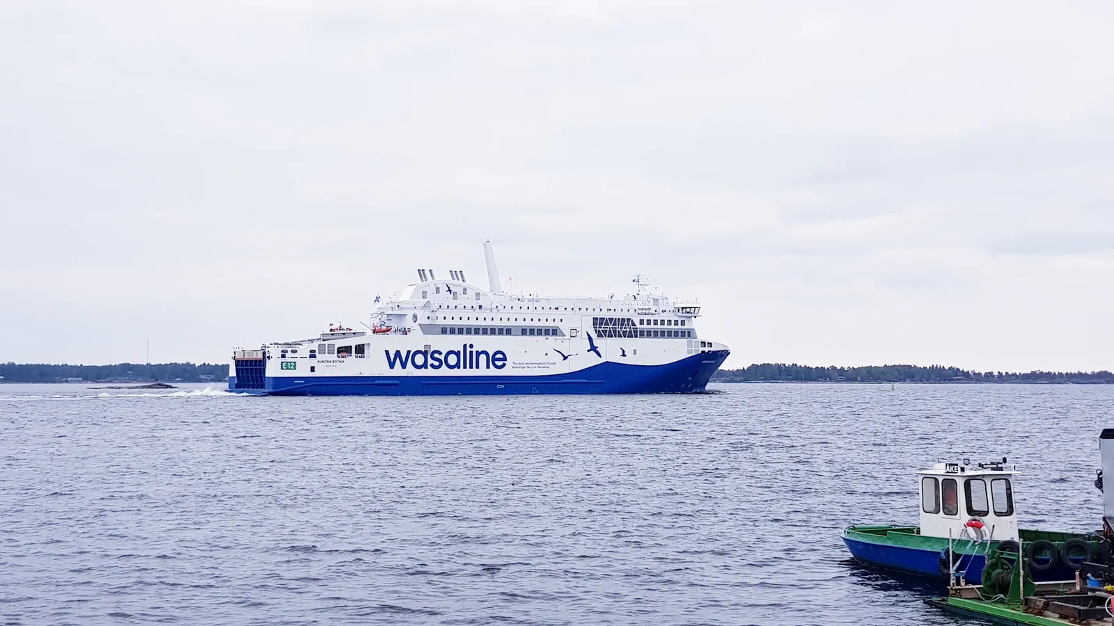 Wasaline – fergeselskap og reiseguide